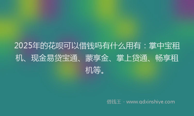 2025年的花呗可以借钱吗有什么用有：掌中宝租机、现金易贷宝通、蒙享金、掌上贷通、畅享租机等。