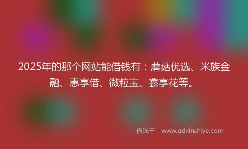 2025年的那个网站能借钱有：蘑菇优选、米族金融、惠享借、微粒宝、鑫享花等。