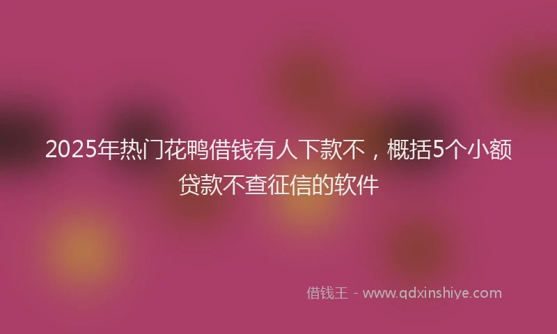 2025年热门花鸭借钱有人下款不，概括5个小额贷款不查征信的软件