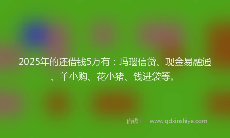 2025年的还借钱5万有：玛瑙信贷、现金易融通、羊小购、花小猪、钱进袋等。
