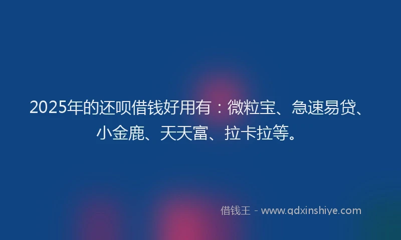 2025年的还呗借钱好用有：微粒宝、急速易贷、小金鹿、天天富、拉卡拉等。