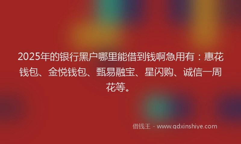 2025年的银行黑户哪里能借到钱啊急用有：惠花钱包、金悦钱包、甄易融宝、星闪购、诚信一周花等。