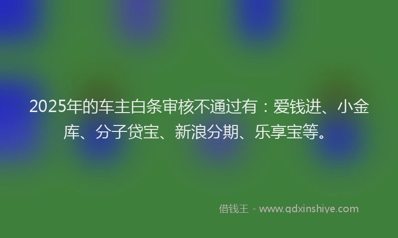 2025年的车主白条审核不通过有：爱钱进、小金库、分子贷宝、新浪分期、乐享宝等。