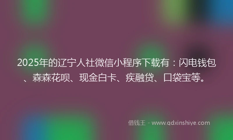 2025年的辽宁人社微信小程序下载有：闪电钱包、森森花呗、现金白卡、疾融贷、口袋宝等。