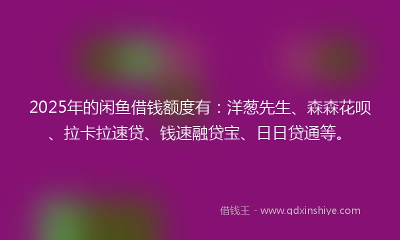 2025年的闲鱼借钱额度有：洋葱先生、森森花呗、拉卡拉速贷、钱速融贷宝、日日贷通等。