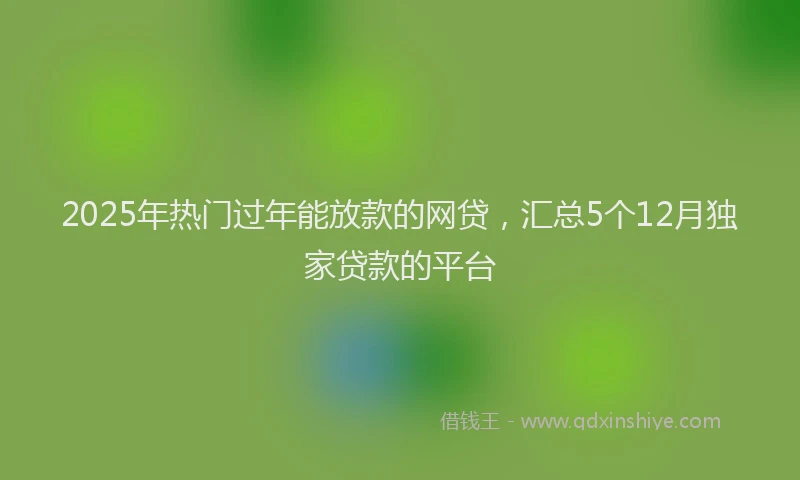 2025年热门过年能放款的网贷,汇总5个12月独家贷款的平台