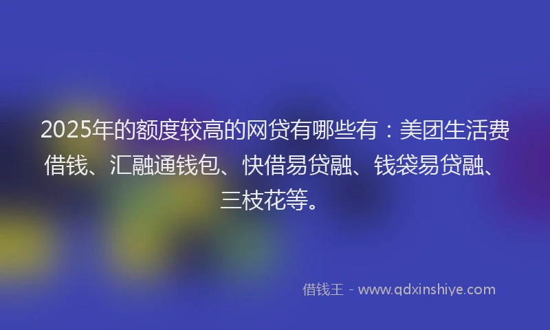 2025年的额度较高的网贷有哪些有：美团生活费借钱、汇融通钱包、快借易贷融、钱袋易贷融、三枝花等。