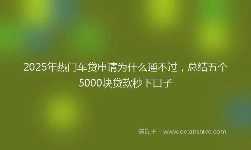 2025年热门车贷申请为什么通不过，总结五个5000块贷款秒下口子