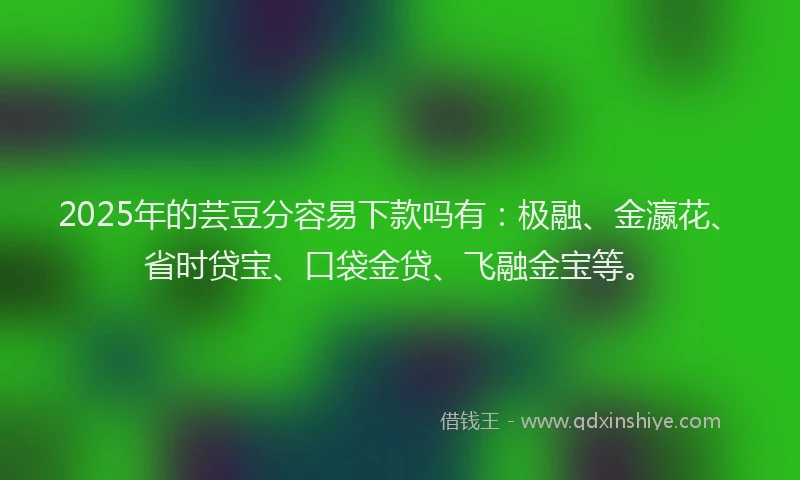 2025年的芸豆分容易下款吗有:极融、金瀛花、省时贷宝、口袋金贷、飞融金宝等。