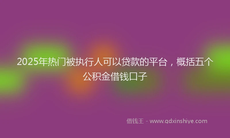 2025年热门被执行人可以贷款的平台，概括五个公积金借钱口子