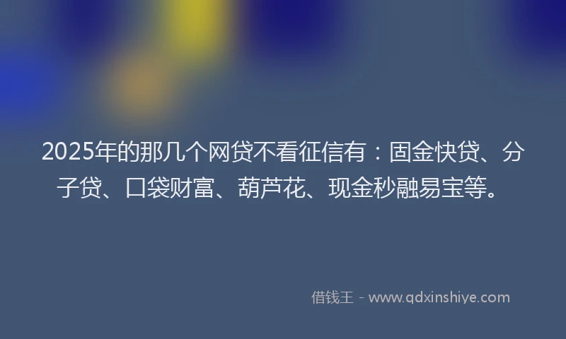 2025年的那几个网贷不看征信有:固金快贷、分子贷、口袋财富、葫芦花、现金秒融易宝等。