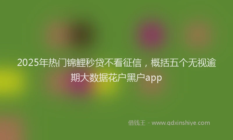2025年热门锦鲤秒贷不看征信，概括五个无视逾期大数据花户黑户app