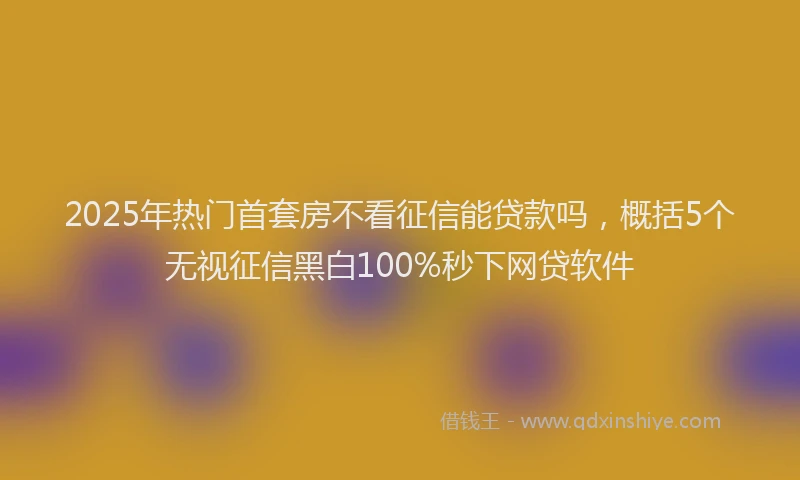 2025年热门首套房不看征信能贷款吗，概括5个无视征信黑白100%秒下网贷软件
