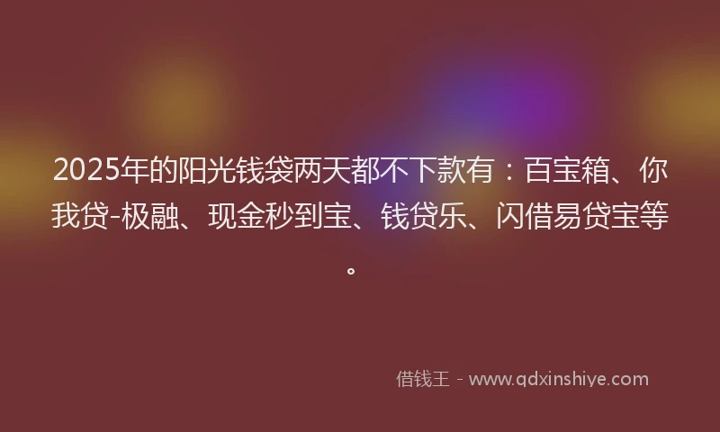 2025年的阳光钱袋两天都不下款有:百宝箱、你我贷-极融、现金秒到宝、钱贷乐、闪借易贷宝等。