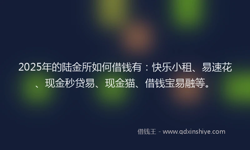 2025年的陆金所如何借钱有：快乐小租、易速花、现金秒贷易、现金猫、借钱宝易融等。