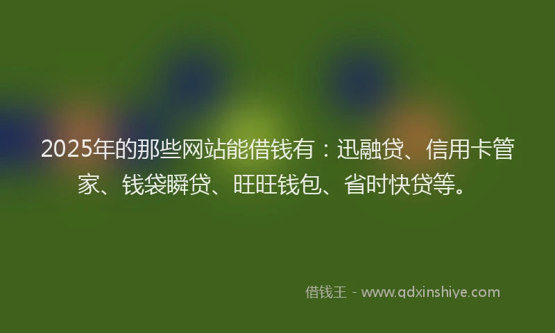 2025年的那些网站能借钱有：迅融贷、信用卡管家、钱袋瞬贷、旺旺钱包、省时快贷等。