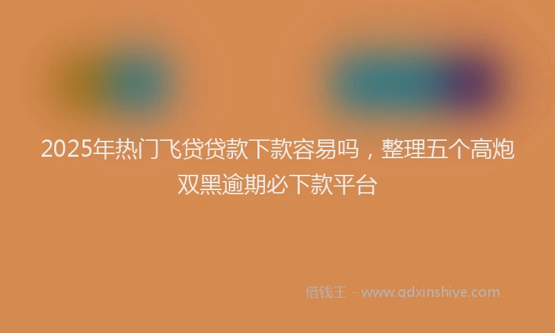 2025年热门飞贷贷款下款容易吗，整理五个高炮双黑逾期必下款平台