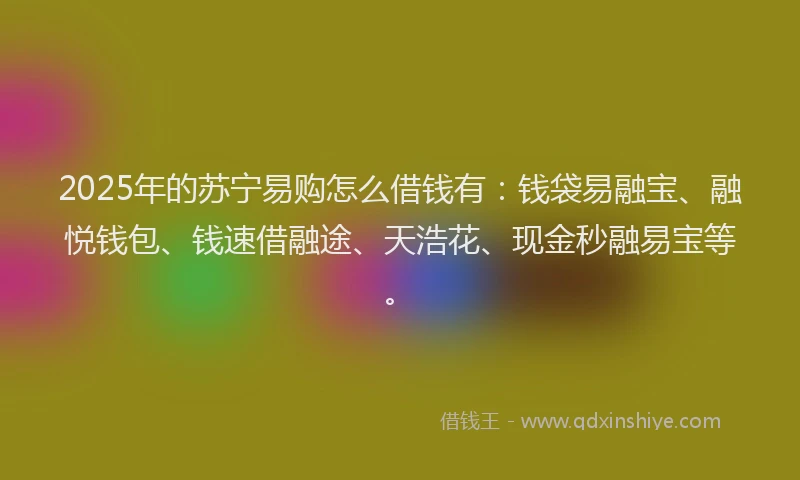 2025年的苏宁易购怎么借钱有：钱袋易融宝、融悦钱包、钱速借融途、天浩花、现金秒融易宝等。