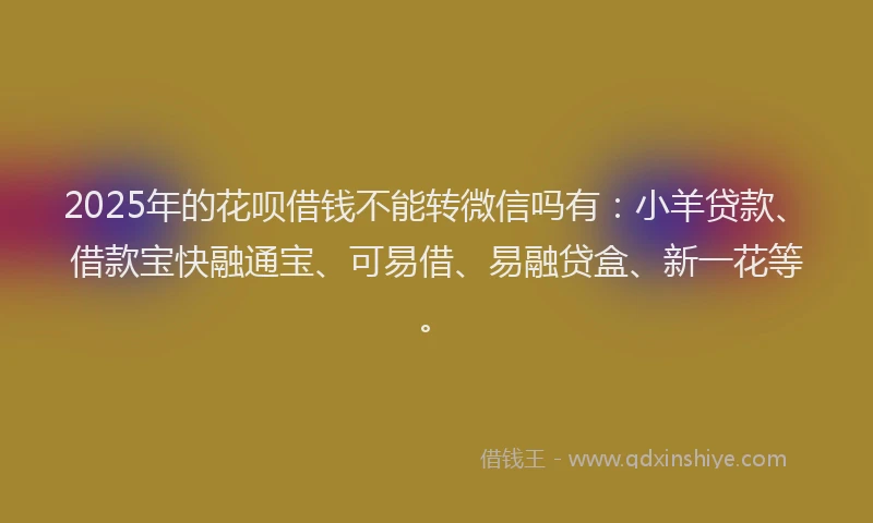 2025年的花呗借钱不能转微信吗有:小羊贷款、借款宝快融通宝、可易借、易融贷盒、新一花等。