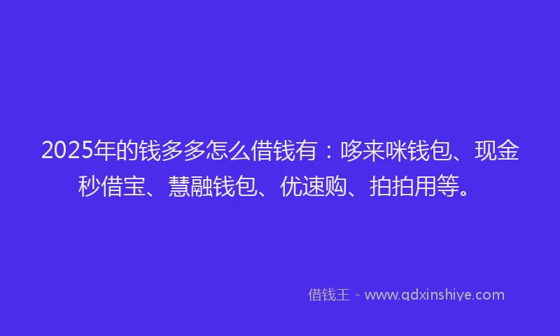2025年的钱多多怎么借钱有：哆来咪钱包、现金秒借宝、慧融钱包、优速购、拍拍用等。