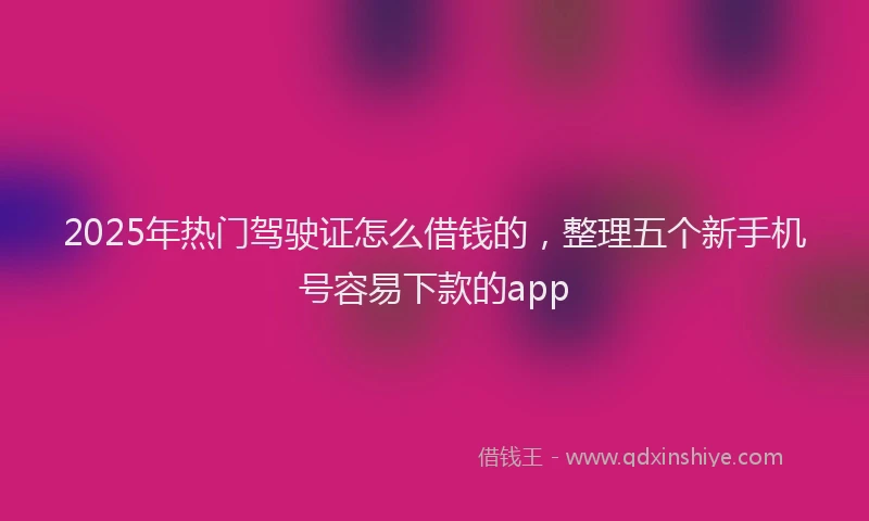 2025年热门驾驶证怎么借钱的,整理五个新手机号容易下款的app