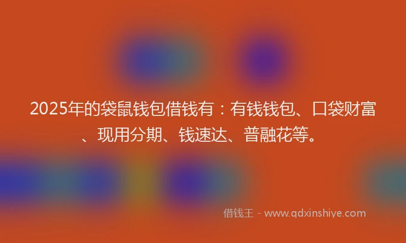 2025年的袋鼠钱包借钱有:有钱钱包、口袋财富、现用分期、钱速达、普融花等。