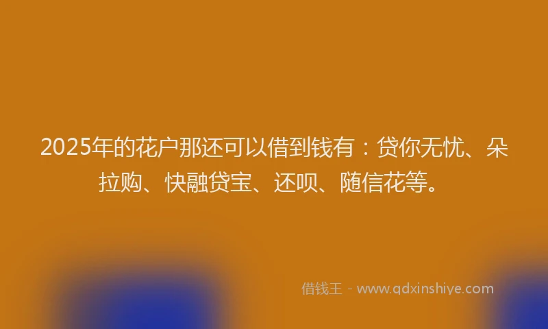 2025年的花户那还可以借到钱有：贷你无忧、朵拉购、快融贷宝、还呗、随信花等。