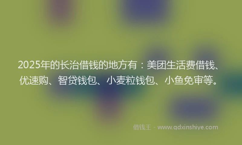 2025年的长治借钱的地方有：美团生活费借钱、优速购、智贷钱包、小麦粒钱包、小鱼免审等。