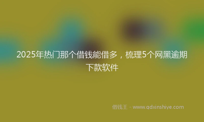 2025年热门那个借钱能借多,梳理5个网黑逾期下款软件
