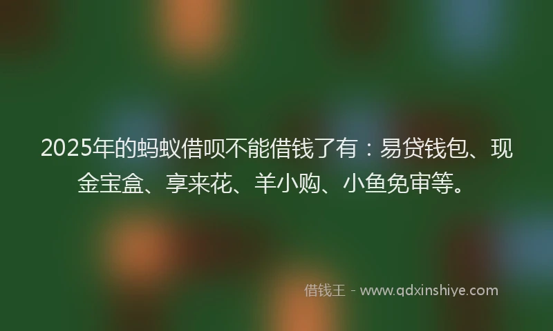 2025年的蚂蚁借呗不能借钱了有：易贷钱包、现金宝盒、享来花、羊小购、小鱼免审等。