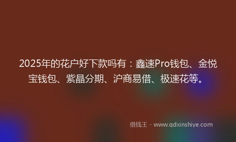 2025年的花户好下款吗有：鑫速Pro钱包、金悦宝钱包、紫晶分期、沪商易借、极速花等。