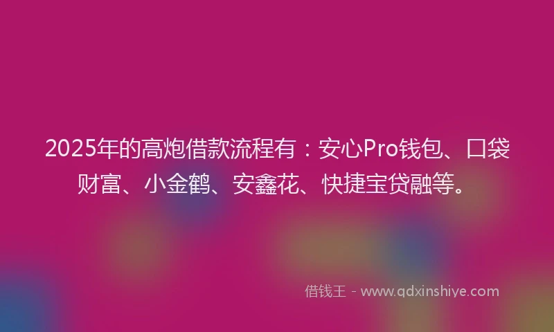 2025年的高炮借款流程有：安心Pro钱包、口袋财富、小金鹤、安鑫花、快捷宝贷融等。