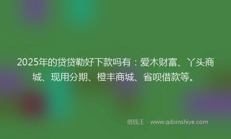 2025年的贷贷勒好下款吗有:爱木财富、丫头商城、现用分期、橙丰商城、省呗借款等。