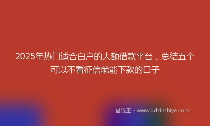 2025年热门适合白户的大额借款平台,总结五个可以不看征信就能下款的口子