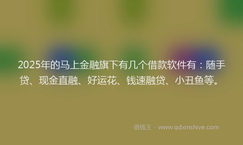 2025年的马上金融旗下有几个借款软件有：随手贷、现金直融、好运花、钱速融贷、小丑鱼等。