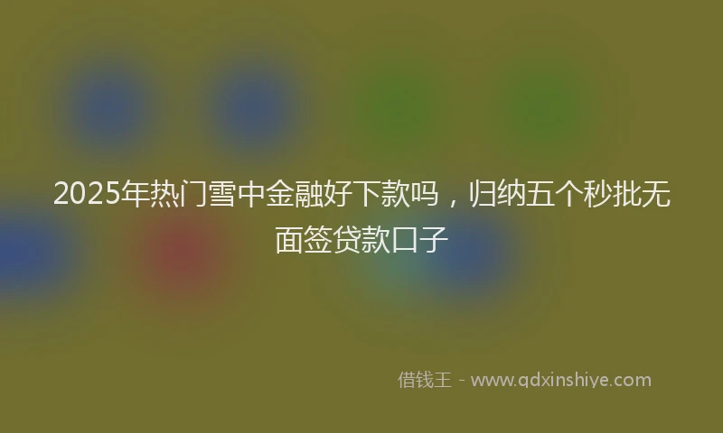 2025年热门雪中金融好下款吗，归纳五个秒批无面签贷款口子