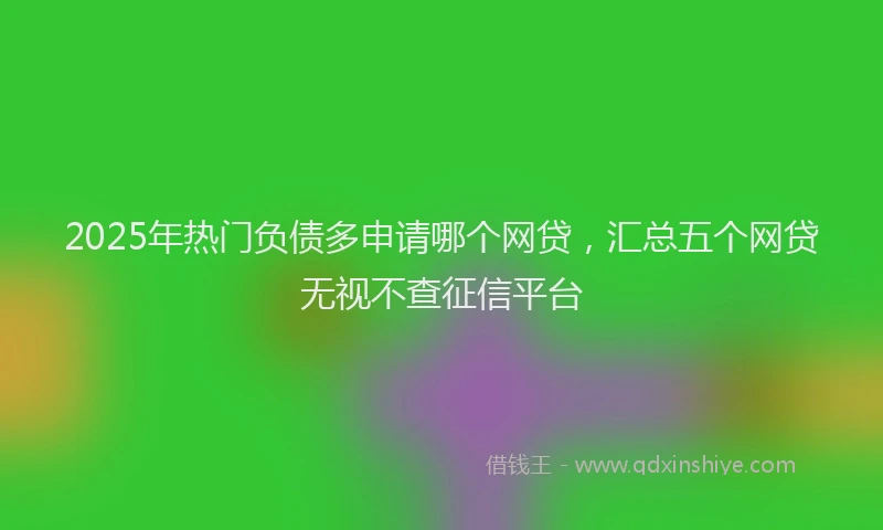 2025年热门负债多申请哪个网贷，汇总五个网贷无视不查征信平台