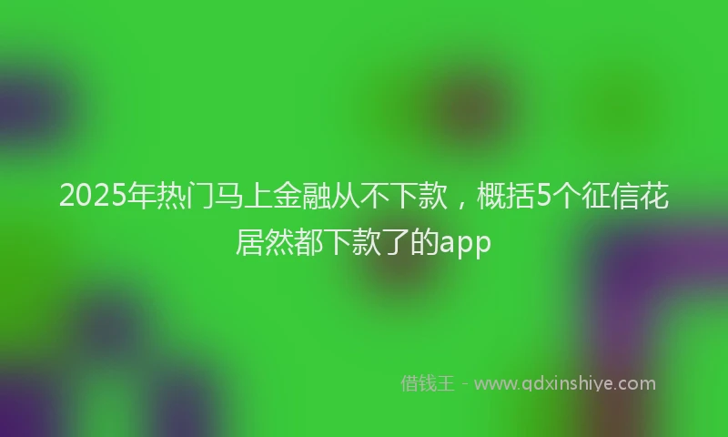 2025年热门马上金融从不下款，概括5个征信花居然都下款了的app
