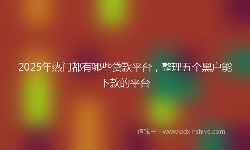 2025年热门都有哪些贷款平台,整理五个黑户能下款的平台