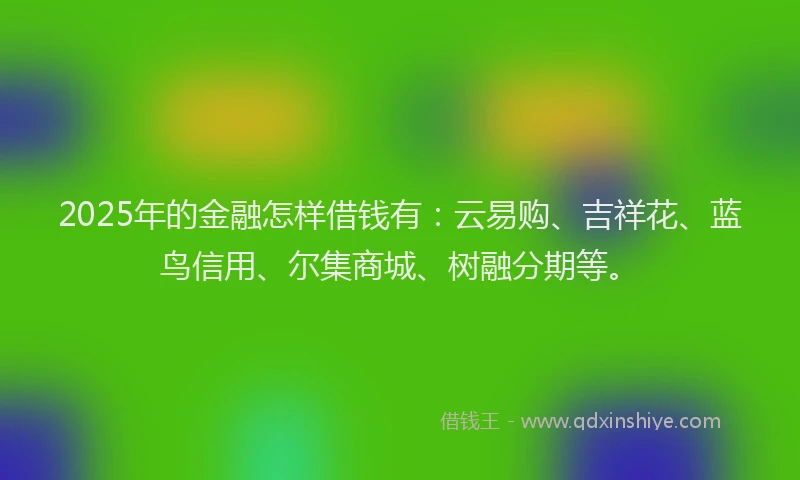 2025年的金融怎样借钱有：云易购、吉祥花、蓝鸟信用、尔集商城、树融分期等。