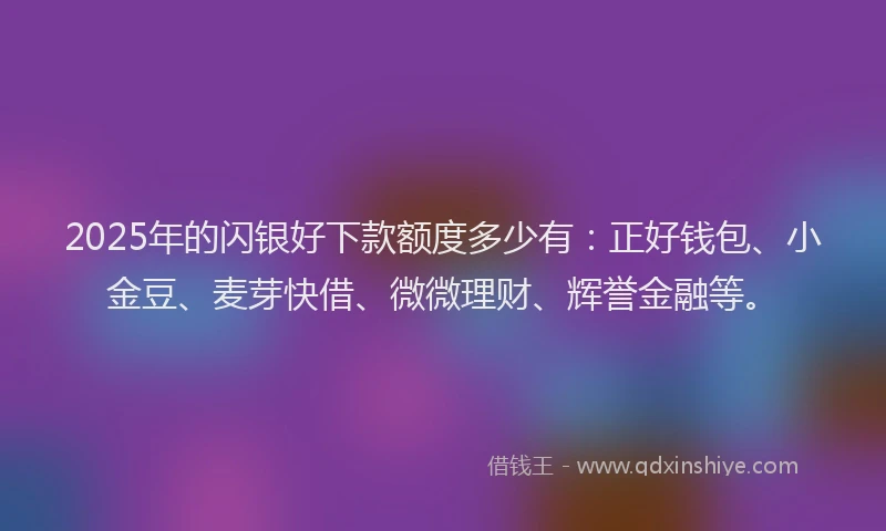 2025年的闪银好下款额度多少有:正好钱包、小金豆、麦芽快借、微微理财、辉誉金融等。