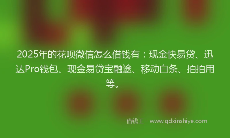 2025年的花呗微信怎么借钱有：现金快易贷、迅达Pro钱包、现金易贷宝融途、移动白条、拍拍用等。
