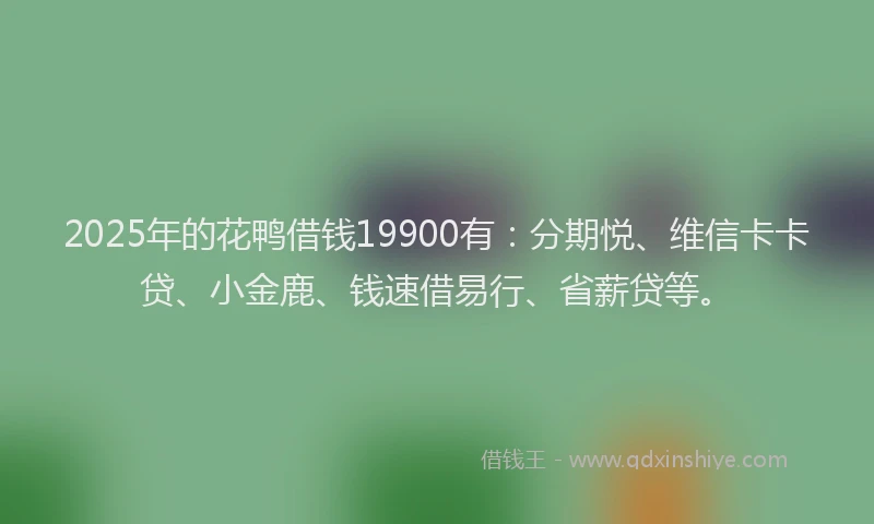 2025年的花鸭借钱19900有：分期悦、维信卡卡贷、小金鹿、钱速借易行、省薪贷等。