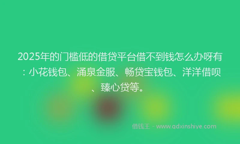 2025年的门槛低的借贷平台借不到钱怎么办呀有：小花钱包、涌泉金服、畅贷宝钱包、洋洋借呗、臻心贷等。