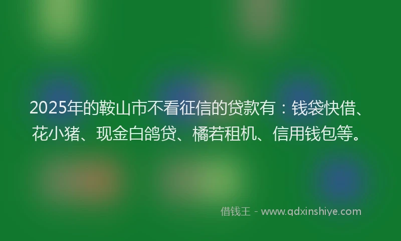 2025年的鞍山市不看征信的贷款有：钱袋快借、花小猪、现金白鸽贷、橘若租机、信用钱包等。
