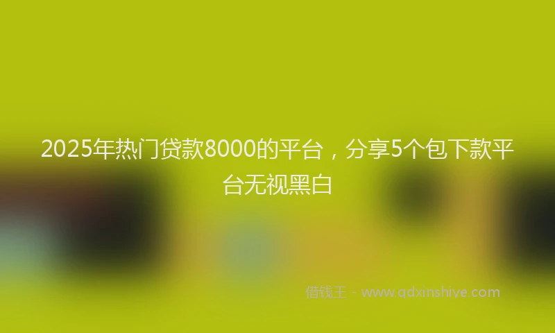 2025年热门贷款8000的平台，分享5个包下款平台无视黑白