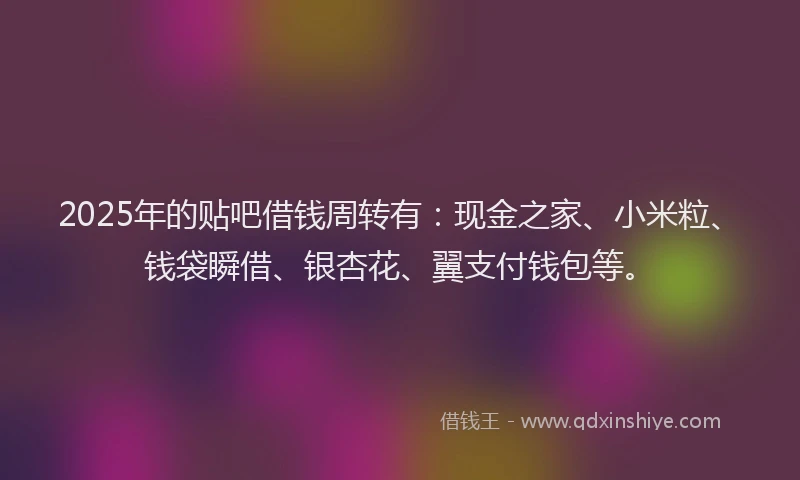 2025年的贴吧借钱周转有：现金之家、小米粒、钱袋瞬借、银杏花、翼支付钱包等。