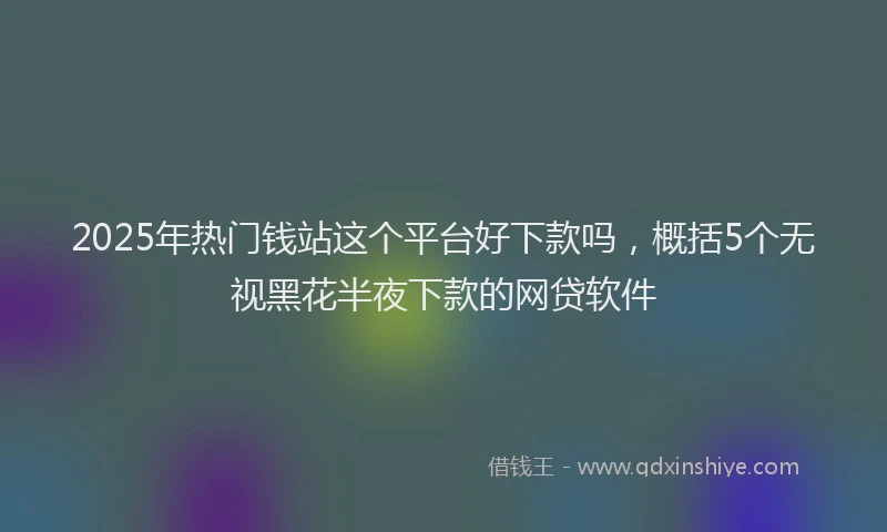 2025年热门钱站这个平台好下款吗，概括5个无视黑花半夜下款的网贷软件