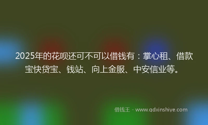 2025年的花呗还可不可以借钱有：掌心租、借款宝快贷宝、钱站、向上金服、中安信业等。