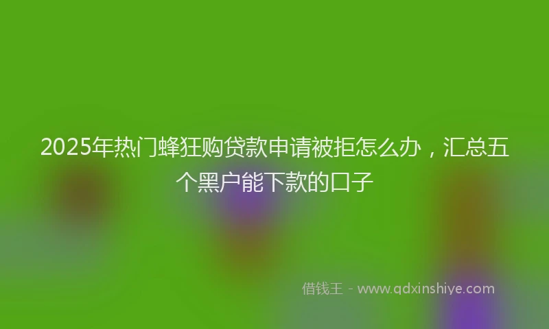 2025年热门蜂狂购贷款申请被拒怎么办，汇总五个黑户能下款的口子